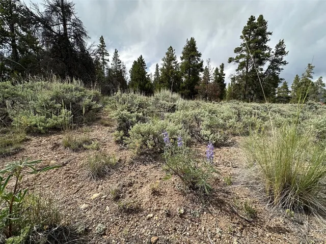 a view of a yard with a mountain