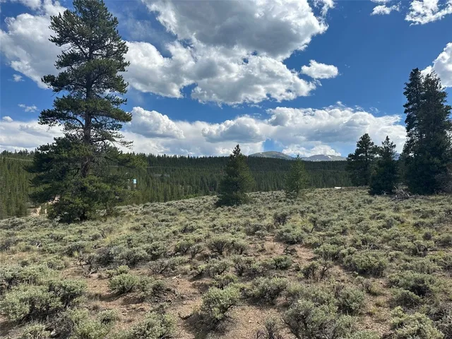 a view of a dry yard with wooden fence