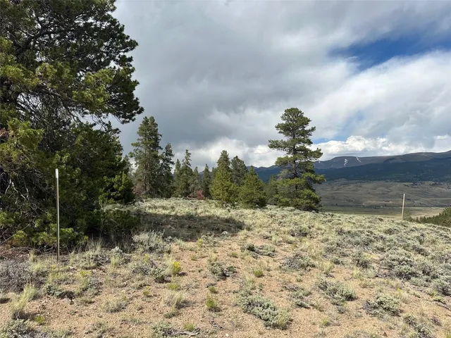 a view of a yard with an trees