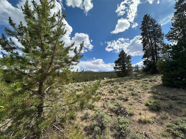 a view of a yard with plants and trees