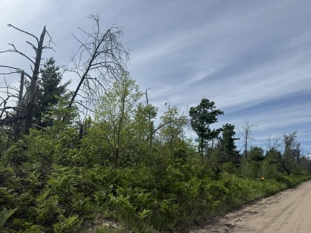 3 South Nelson Road Idlewild, MI 49642 - Photo 1 of 6 IMG_6948