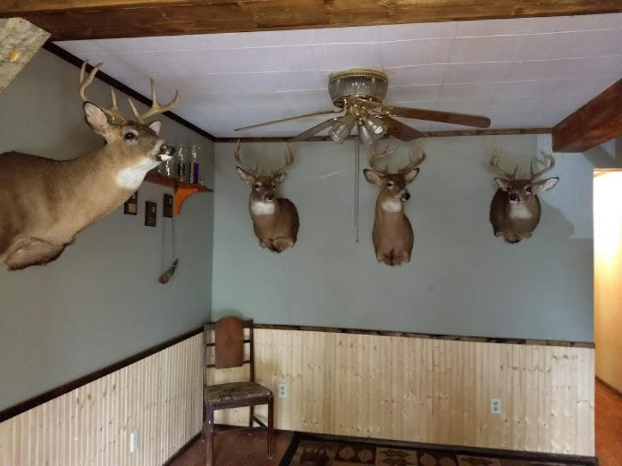5017 East Tamarack Road Edmore, MI 48829 - Photo 8 of 16 Deer Heads