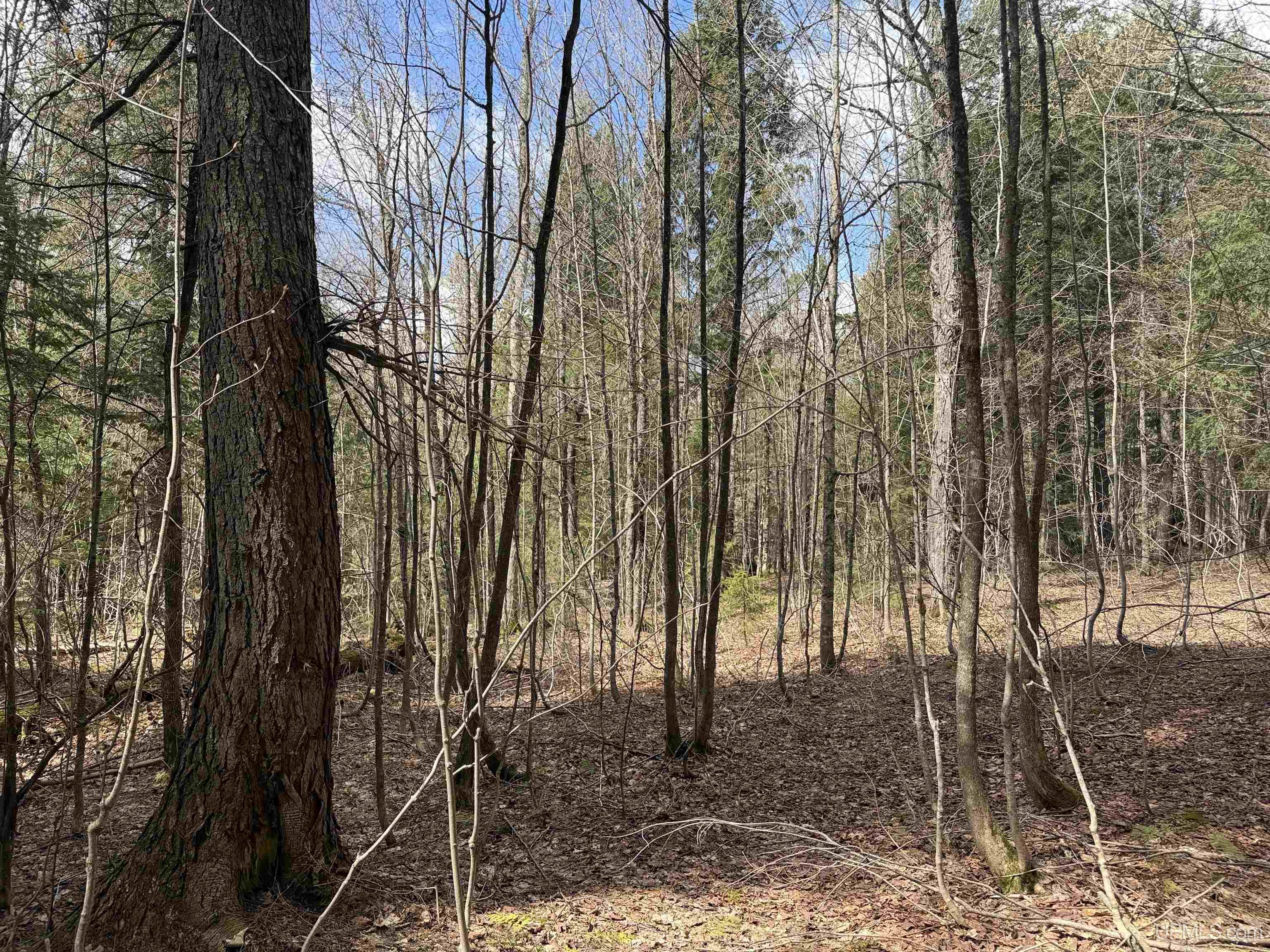 Off Black River Road Ironwood, MI 49938 - Photo 19 of 31