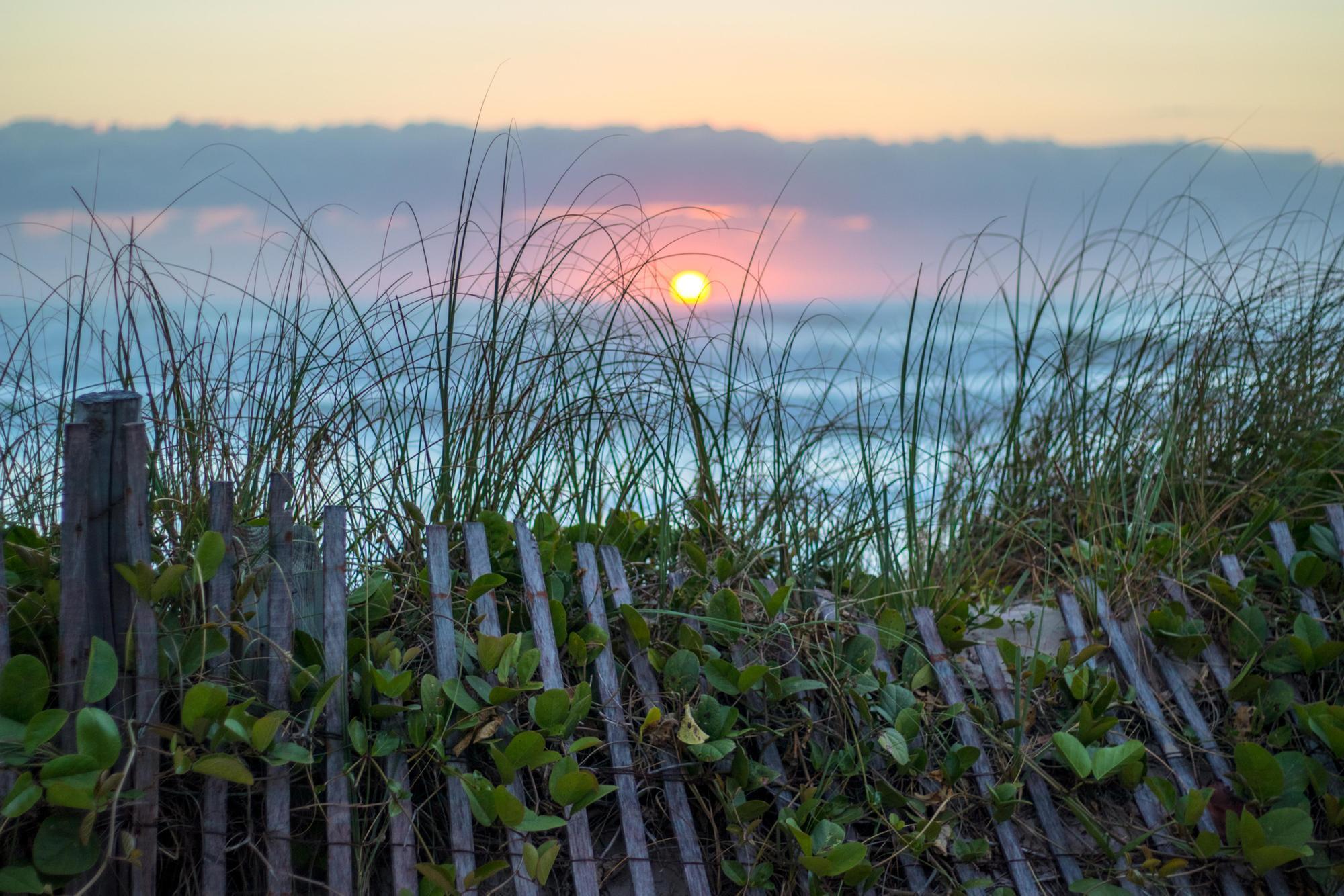 500 Ocean Drive, Unit E2A Juno Beach, FL 33408 - Photo 38 of 40 Sunrise over Grass