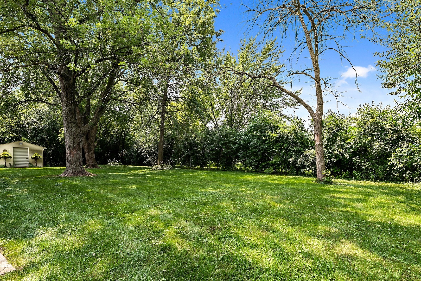 7710 Brookbank Road Willowbrook, IL 60527 - Photo 15 of 20 a view of a grassy field with trees in the background