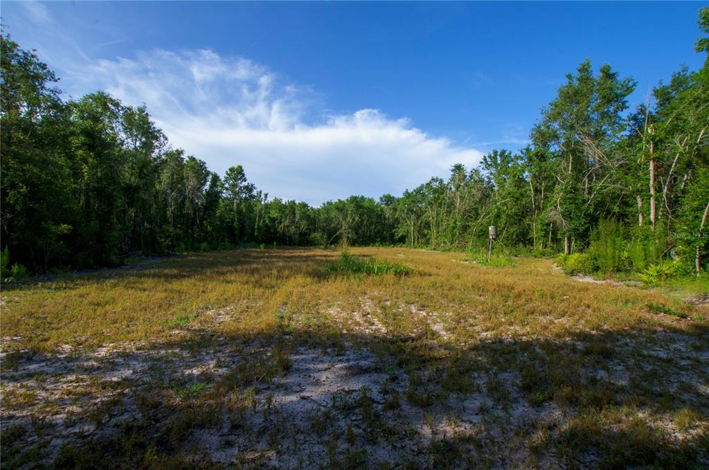 18233 185th Road Live Oak, FL 32060 - Photo 70 of 99 a view of a yard with an outdoor space