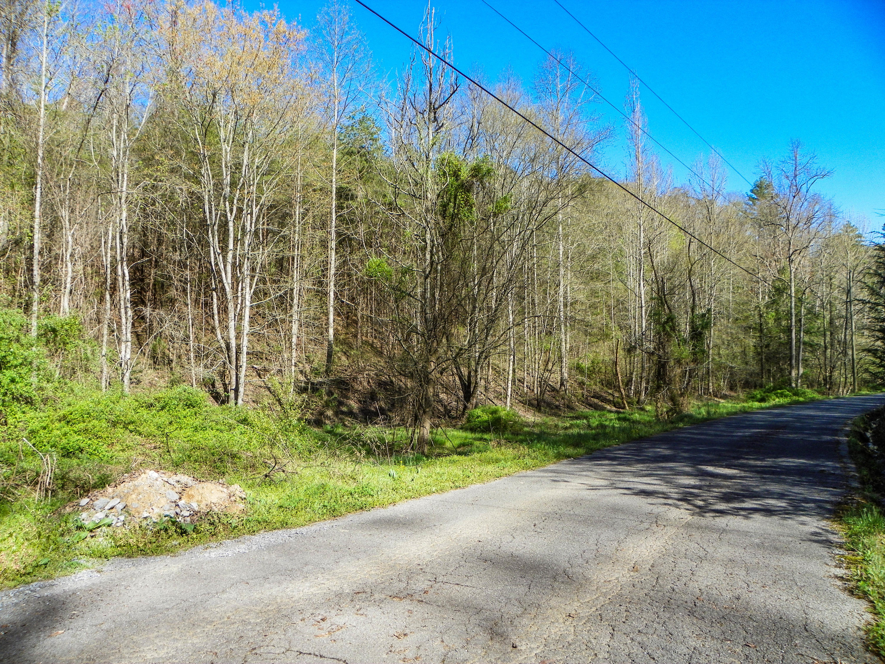 Lot#20 Licking Spring Way Sevierville, TN 37876 - Photo 2 of 6 103_5715