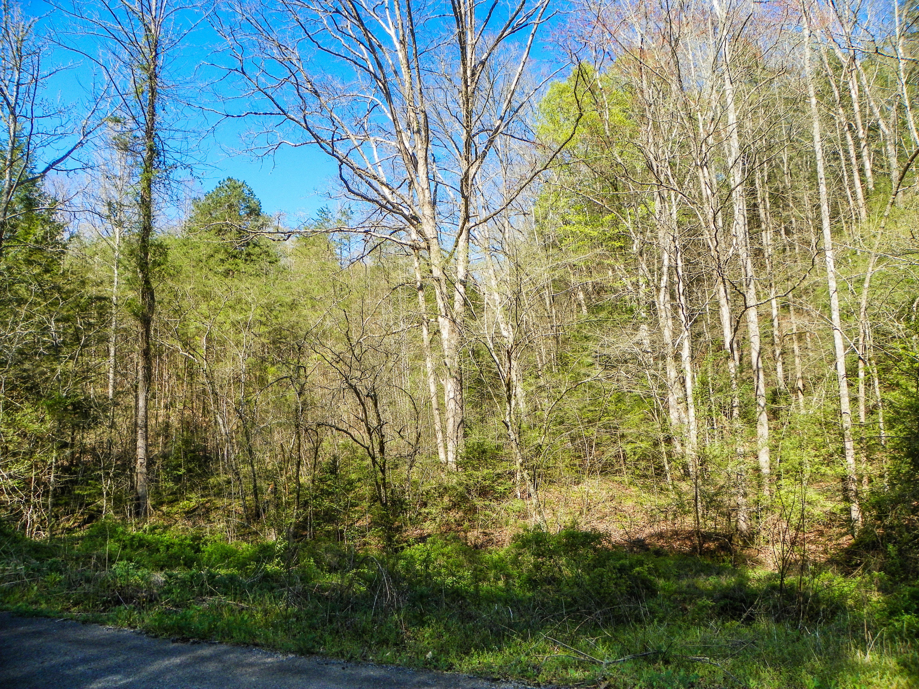 Lot#20 Licking Spring Way Sevierville, TN 37876 - Photo 5 of 6 103_5718