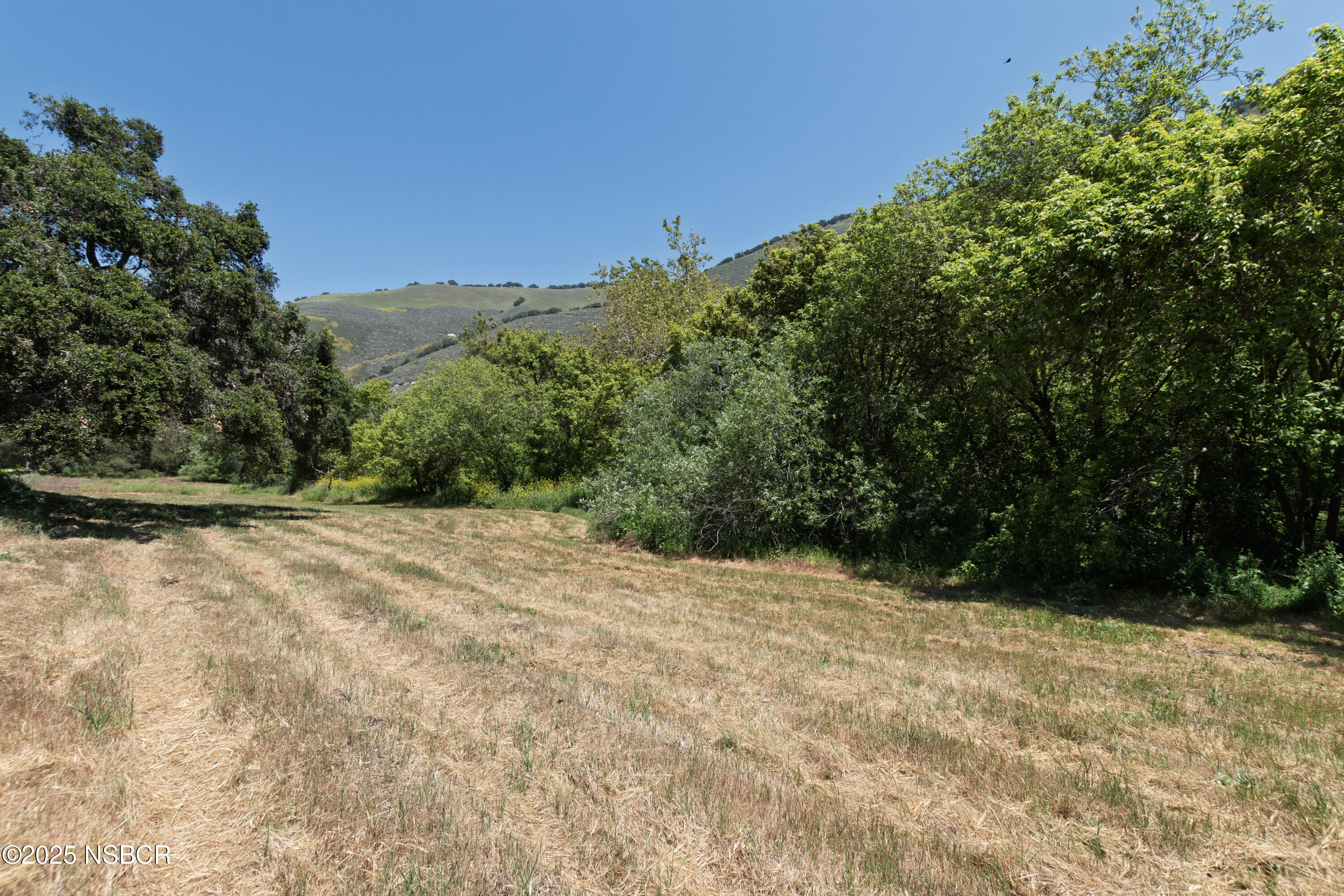 4651 Tepusquet Road Santa Maria, CA 93454 - Photo 53 of 62 13-4651 Tepusquet Rd-57