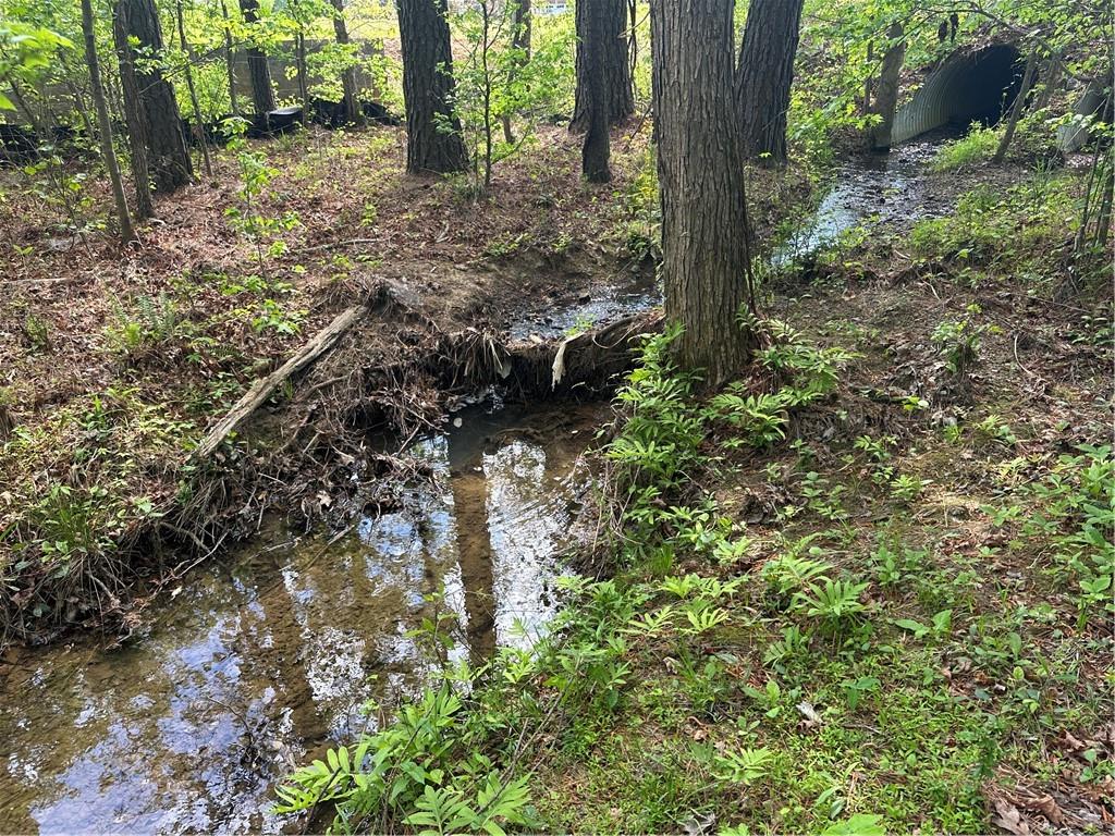 106 Nelson Boulevard Northwest Rome, GA 30165 - Photo 4 of 12