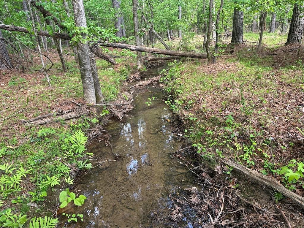 106 Nelson Boulevard Northwest Rome, GA 30165 - Photo 6 of 12