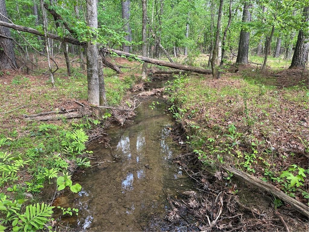 106 Nelson Boulevard Northwest Rome, GA 30165 - Photo 7 of 12