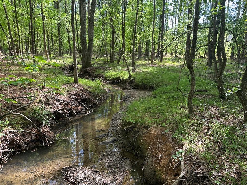 106 Nelson Boulevard Northwest Rome, GA 30165 - Photo 10 of 12