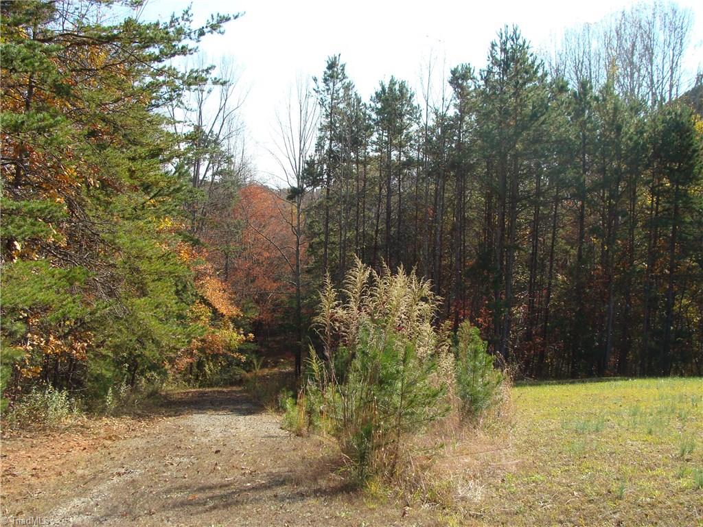 336 Brookfall Dairy Road Elkin, NC 28621 - Photo 4 of 12 Gallery Image 4