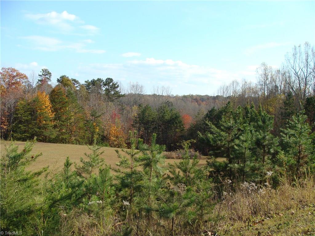 336 Brookfall Dairy Road Elkin, NC 28621 - Photo 5 of 12 Gallery Image 5