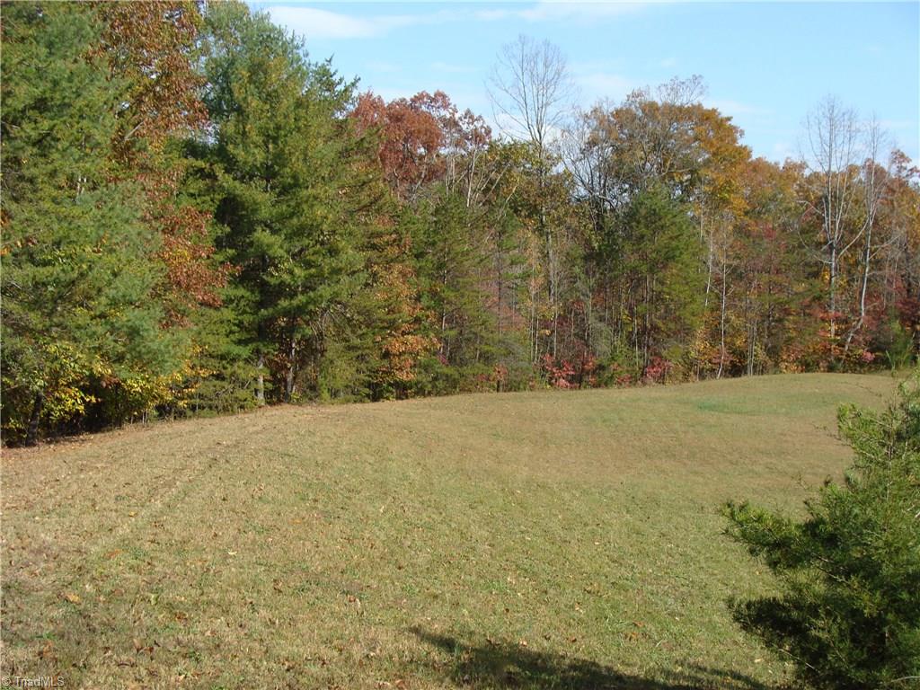 336 Brookfall Dairy Road Elkin, NC 28621 - Photo 6 of 12 Gallery Image 6