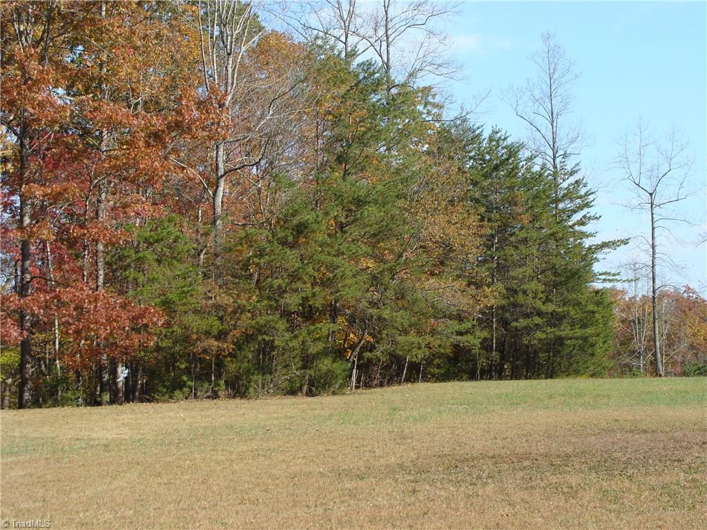 336 Brookfall Dairy Road Elkin, NC 28621 - Photo 10 of 12 Gallery Image 10