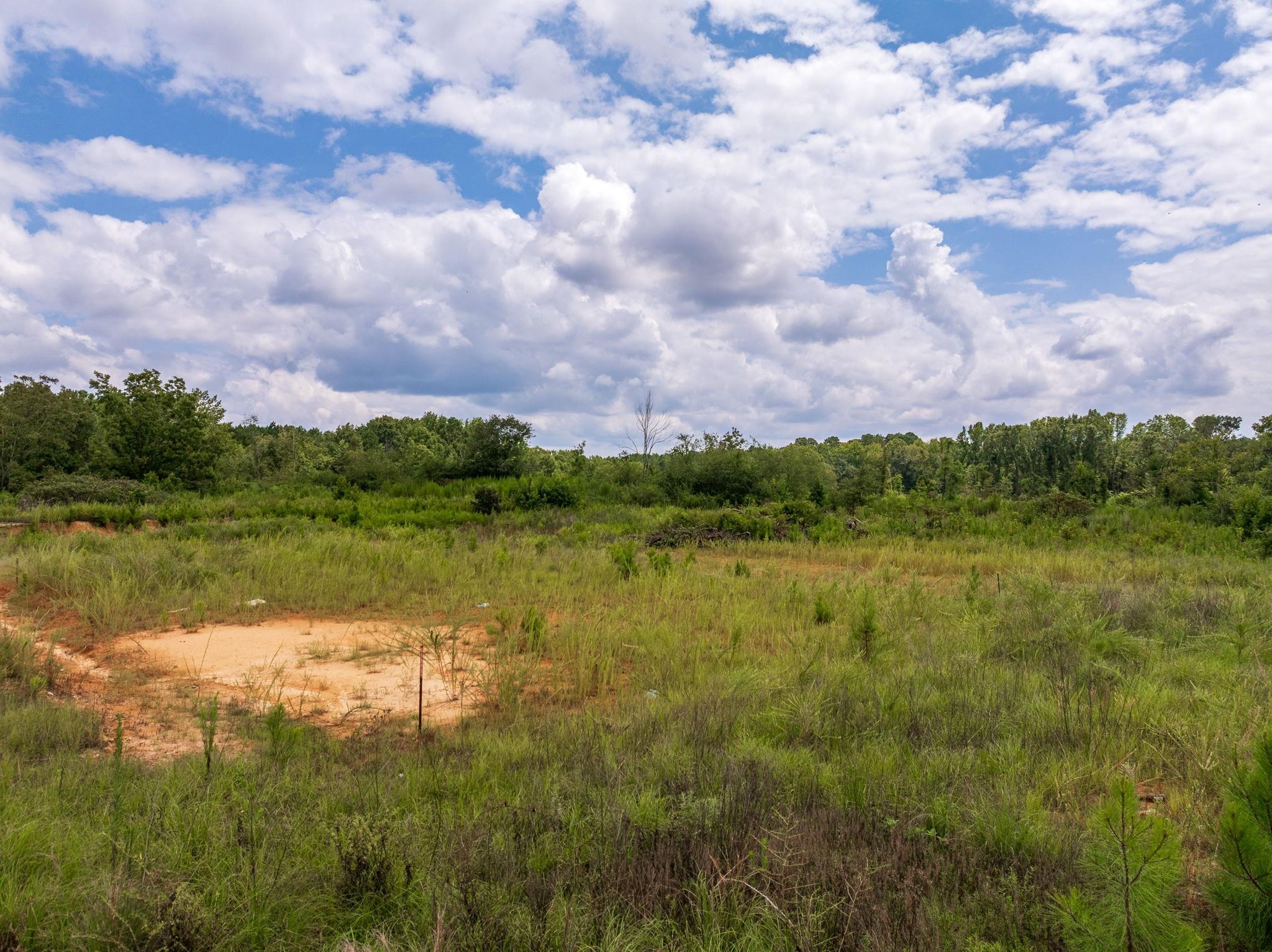 0 Sc-72 Highway Columbia, SC 29209 - Photo 2 of 25