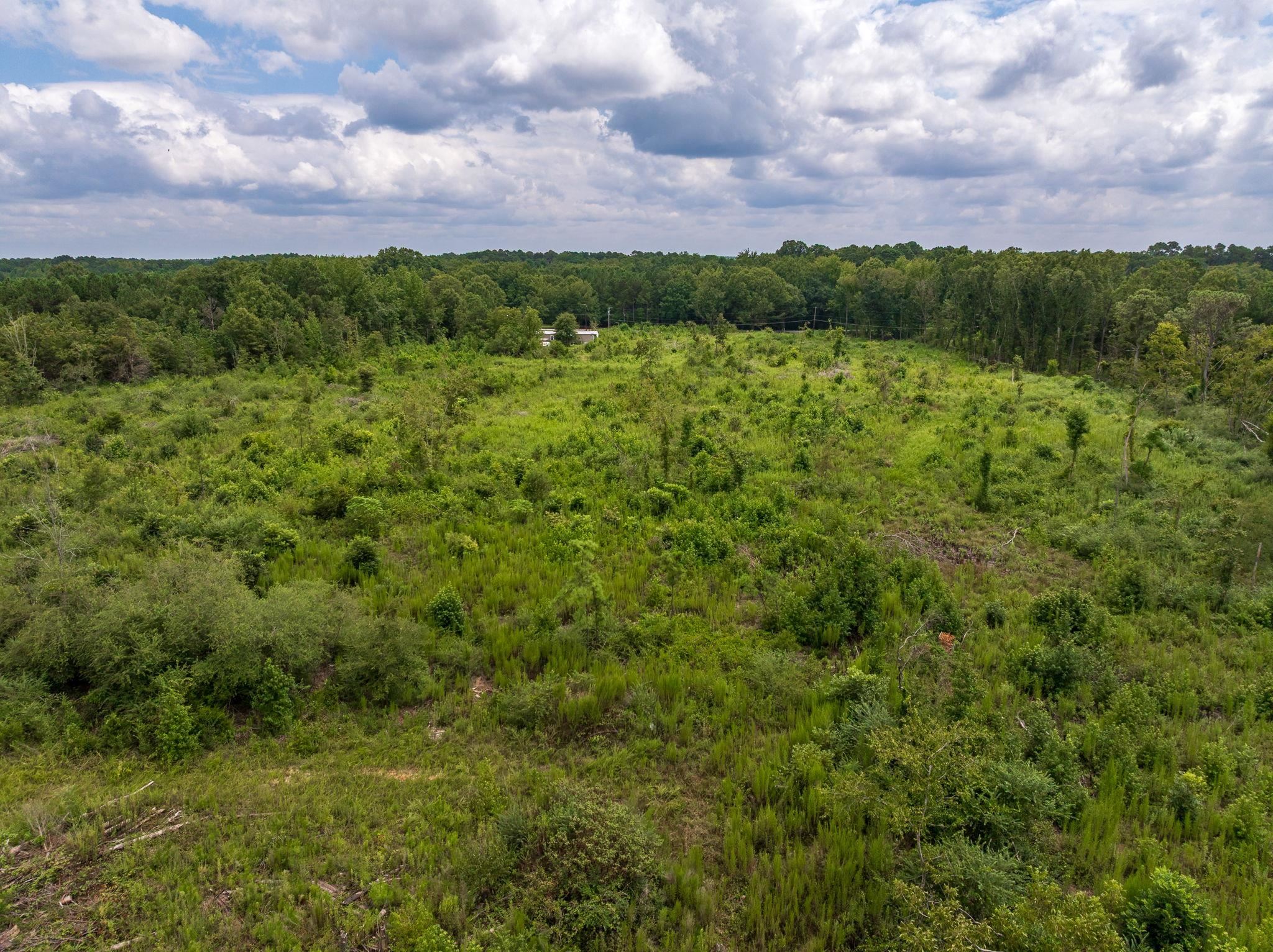 0 Sc-72 Highway Columbia, SC 29209 - Photo 22 of 25