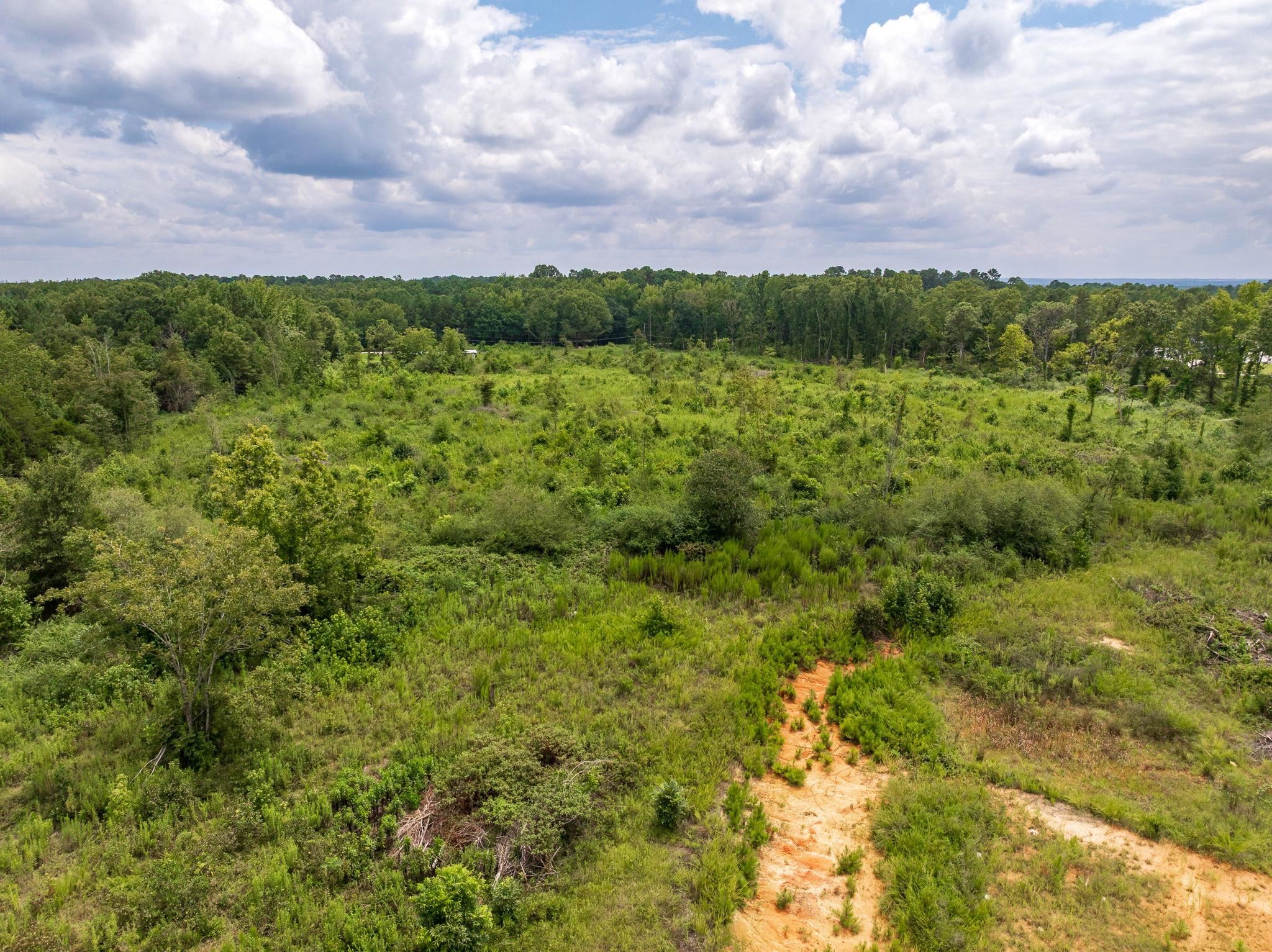 0 Sc-72 Highway Columbia, SC 29209 - Photo 23 of 25