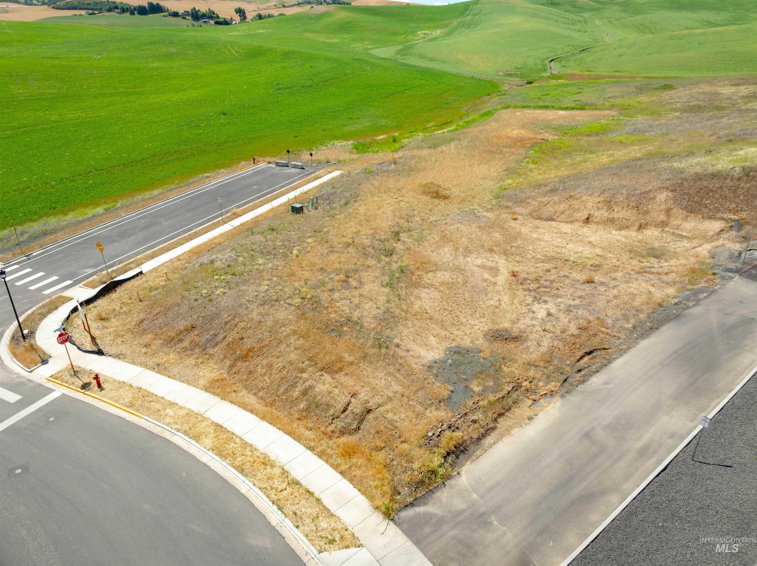 9 Tbd Conestoga Street Moscow, ID 83843 - Photo 3 of 12 Bird's eye view of a golf club