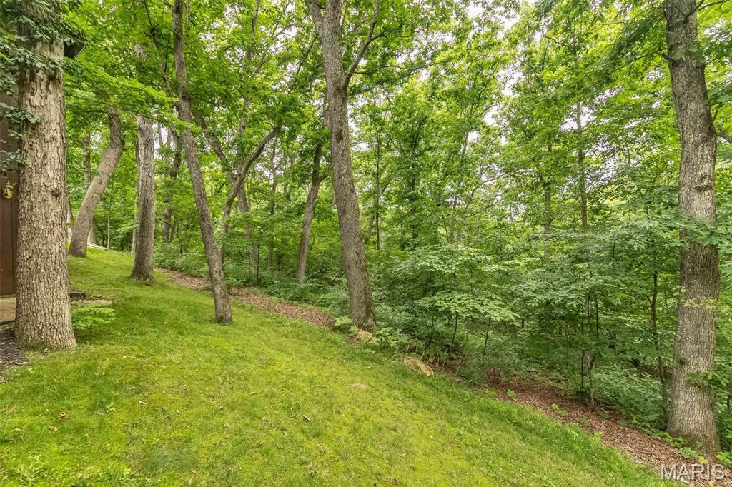 7 Walnut Ridge Court Defiance, MO 63341 - Photo 55 of 70