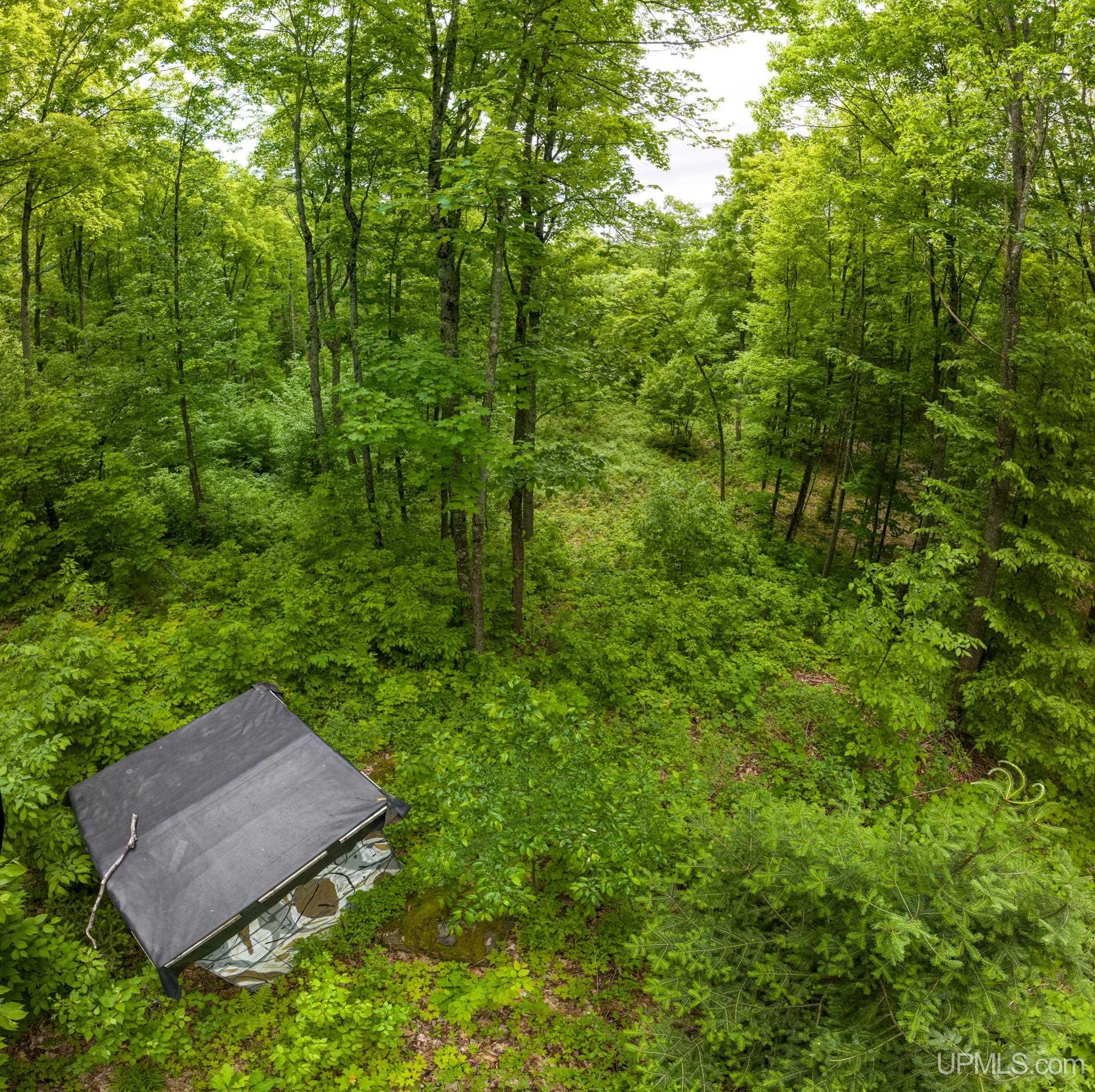 Tbd Tbd Co Road Negaunee, MI 49866 - Photo 33 of 47