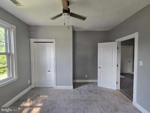 a view of a garden with a bench in a garden