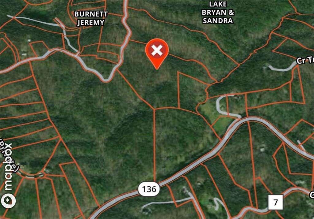 0 Bull Gap Road East Jasper, GA 30143 - Photo 1 of 1 Gallery Image 1