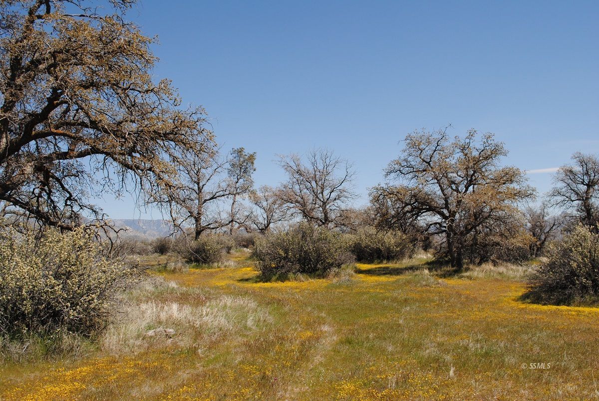 Old State Road Wofford Heights, CA 93285 - Photo 3 of 33 Gallery Image 3