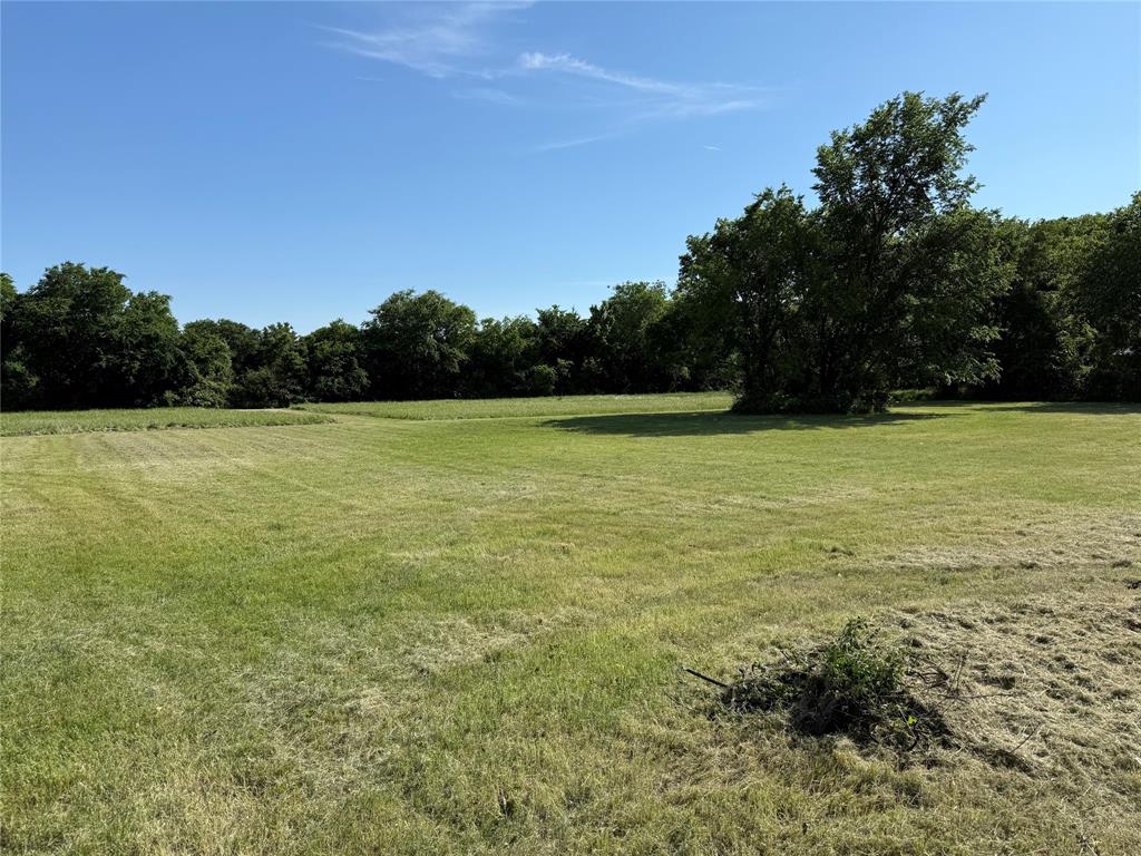 Tbd Central Avenue Newark, TX 76071 - Photo 13 of 34 View of yard with a wooded view