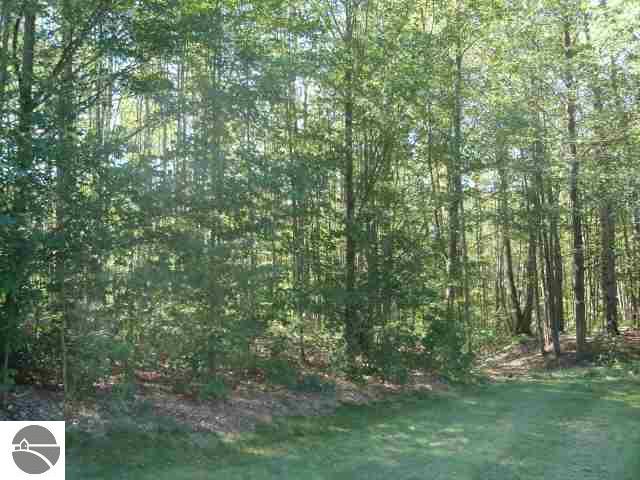 10590 South Weisler Road Cedar, MI 49621 - Photo 9 of 15 1719955-8.JPG