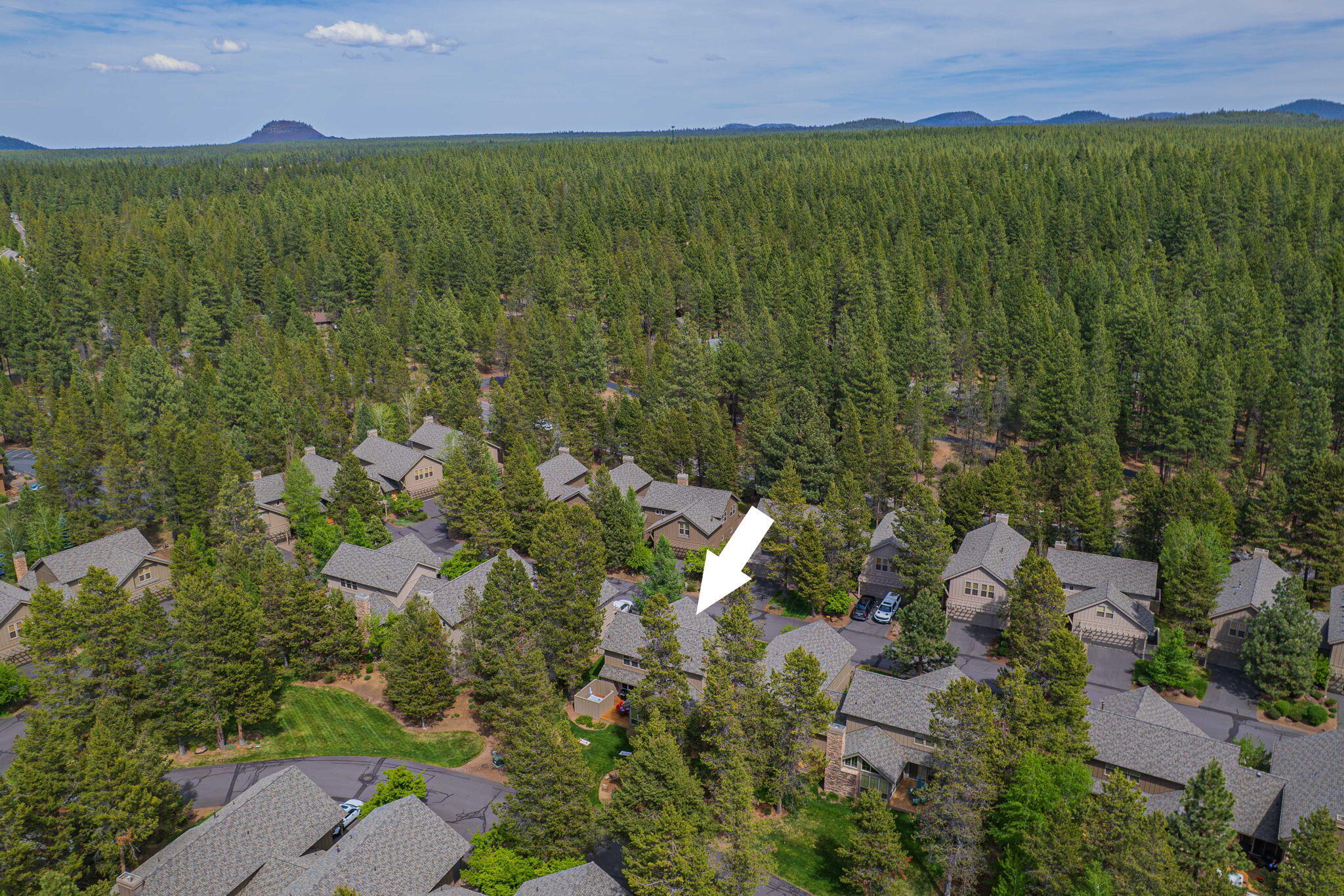 57129 Evergreen Loop, Unit 44 Sunriver, OR 97707 - Photo 49 of 59 an aerial view of residential houses with outdoor space and trees