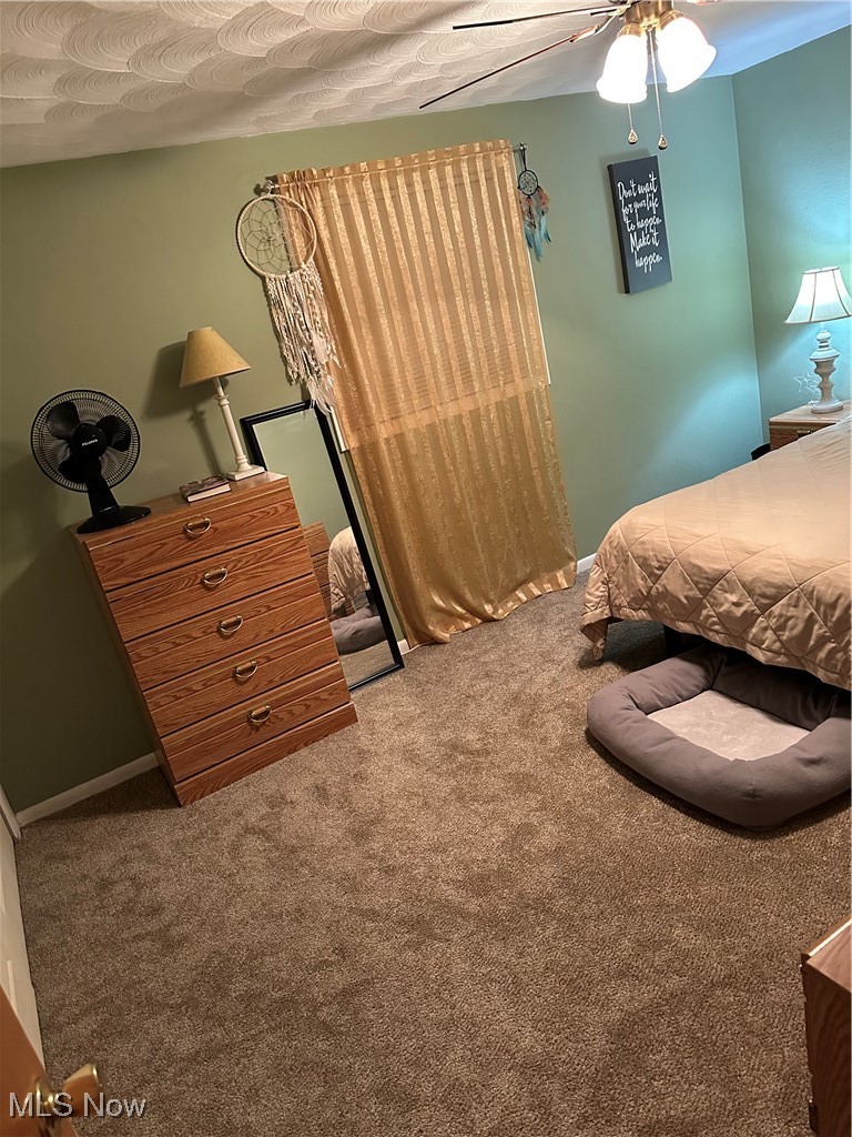 46580 Middle Ridge Road Amherst, OH 44001 - Photo 14 of 38 Bedroom featuring carpet floors and baseboards