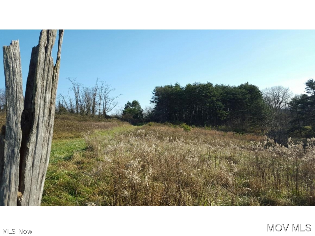 1980 Youba Ridge Road Coolville, OH 45723 - Photo 1 of 7 Gallery Image 1