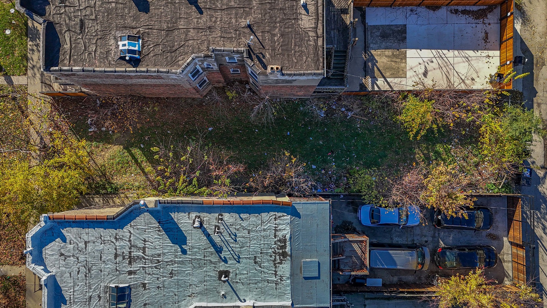 1314 South Springfield Avenue Chicago, IL 60623 - Photo 6 of 10