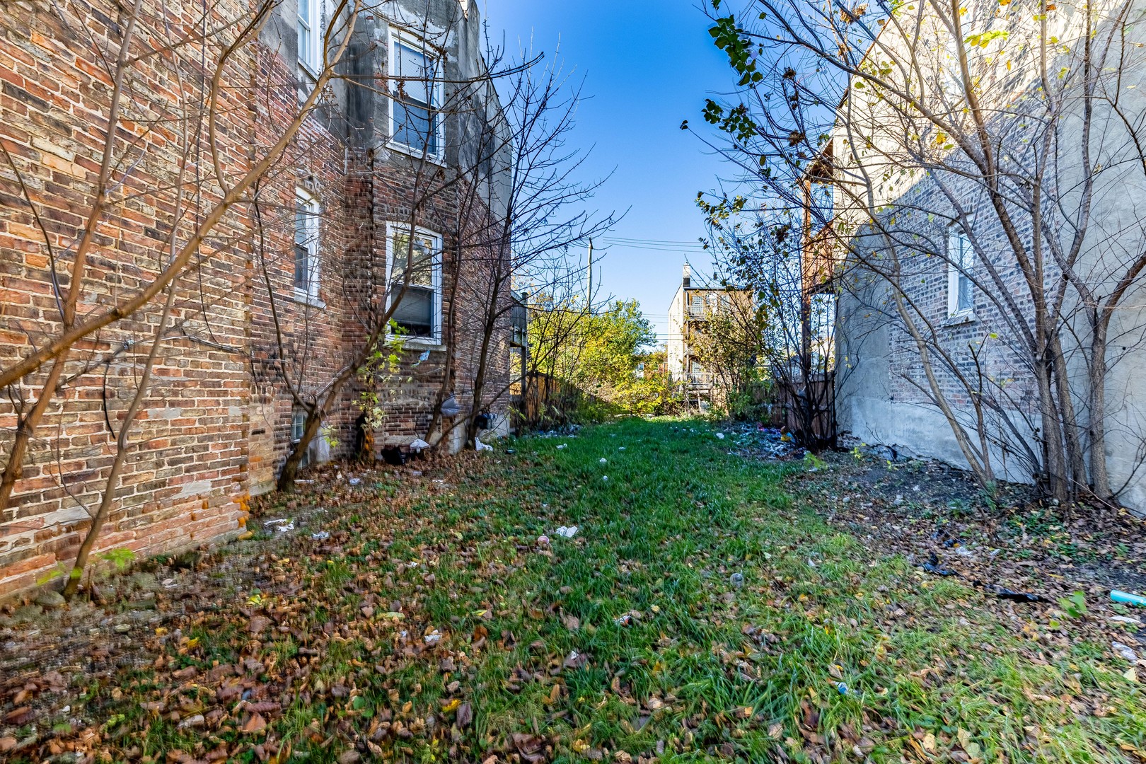1314 South Springfield Avenue Chicago, IL 60623 - Photo 10 of 10 a view of a yard with a tree