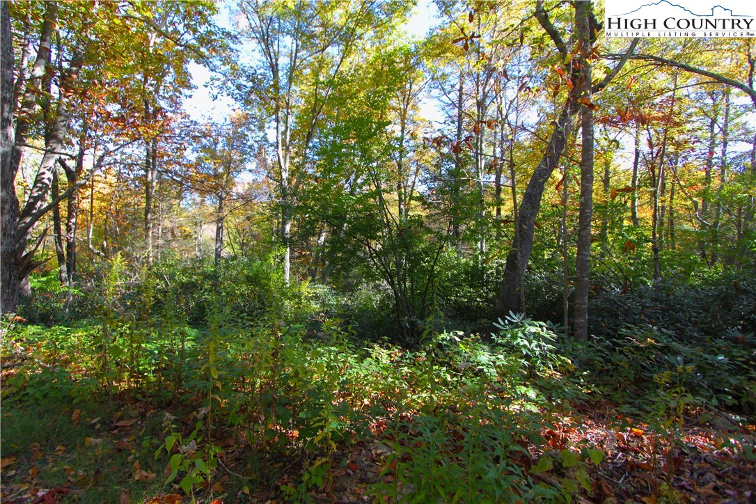 3 A Russ Cornett Road Boone, NC 28607 - Photo 12 of 22 Gallery Image 12
