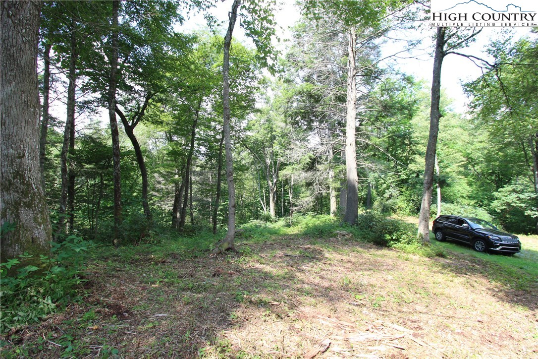 3 A Russ Cornett Road Boone, NC 28607 - Photo 20 of 22 Gallery Image 20