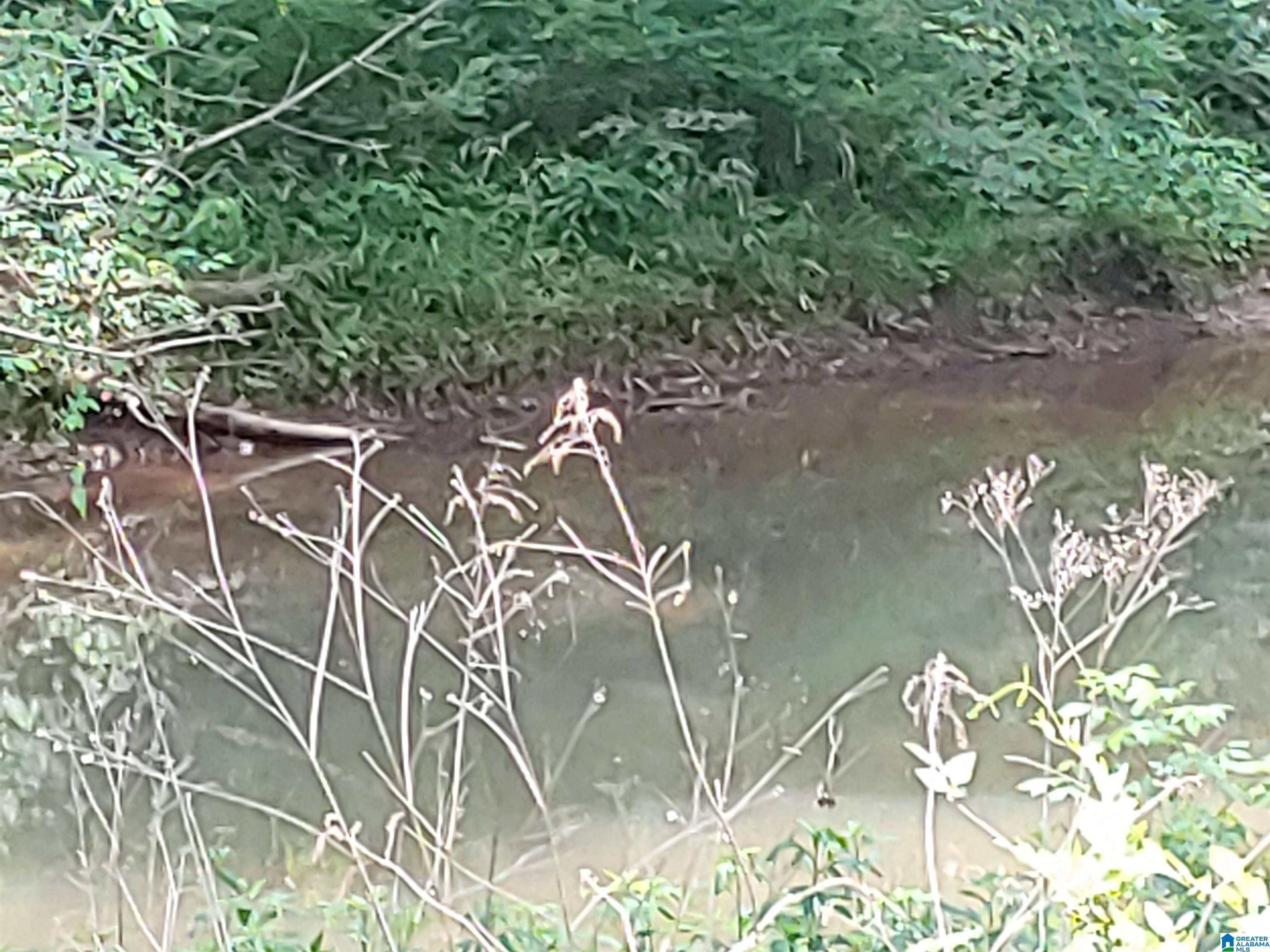 0 County Road 44 Goodwater, AL 35072 - Photo 2 of 2
