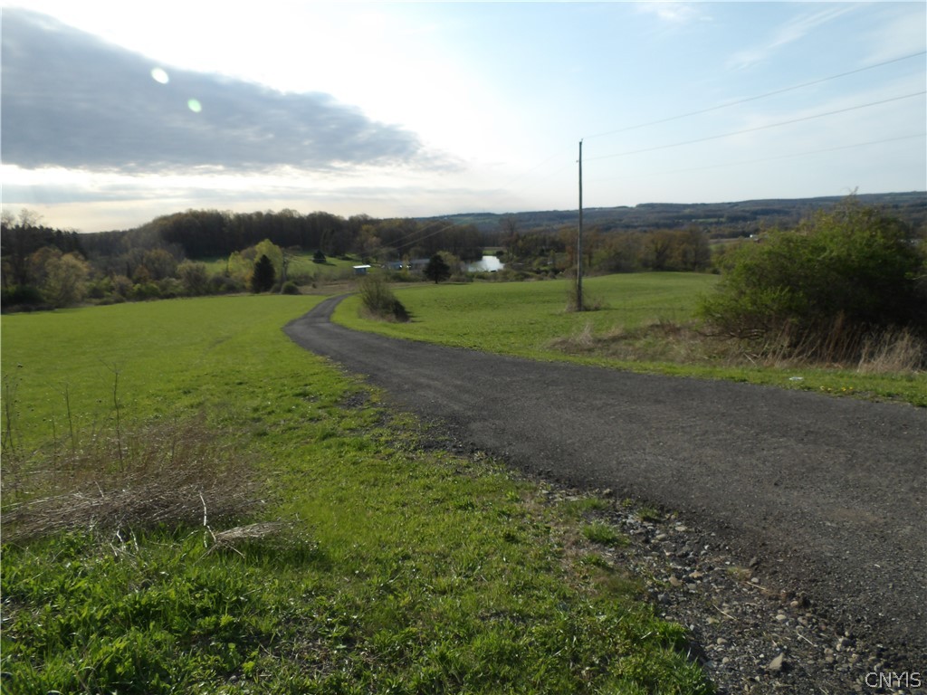 421 Cortland Road Dryden, NY 13068 - Photo 3 of 50 Driveway