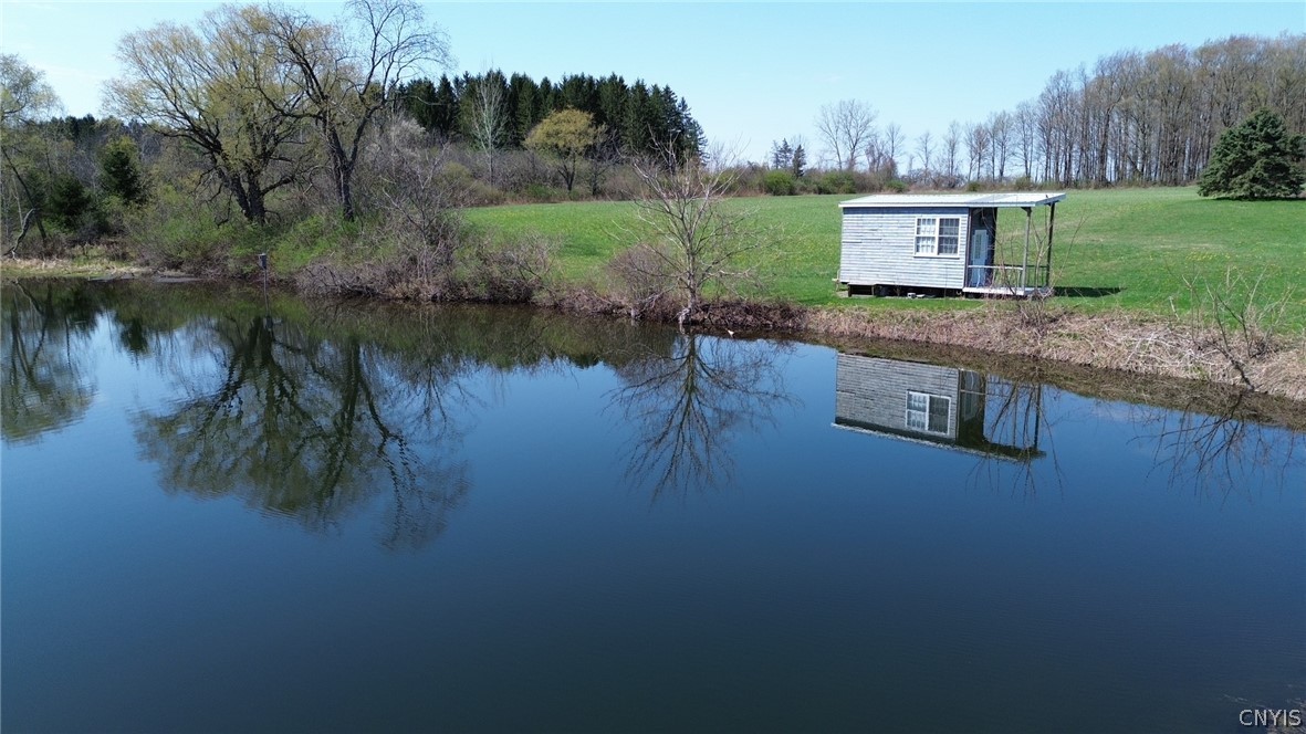 421 Cortland Road Dryden, NY 13068 - Photo 44 of 50