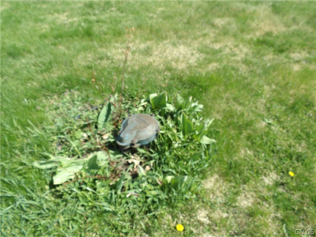 421 Cortland Road Dryden, NY 13068 - Photo 45 of 50 Well/front yard