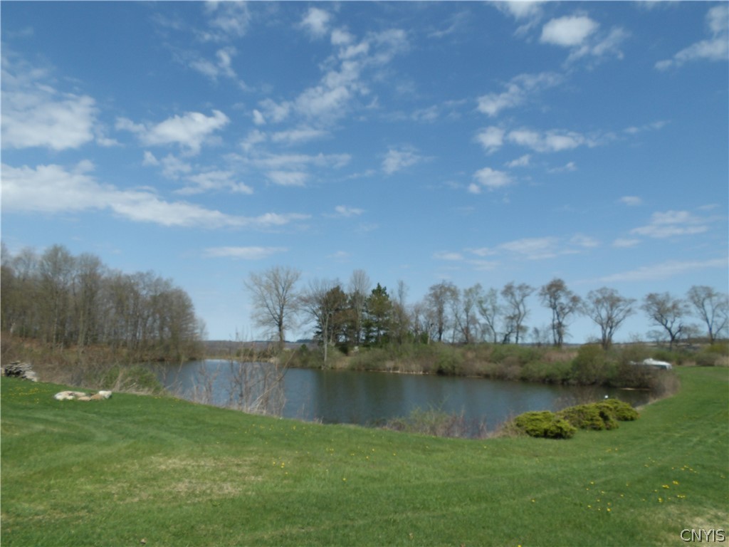 421 Cortland Road Dryden, NY 13068 - Photo 9 of 50 Pond