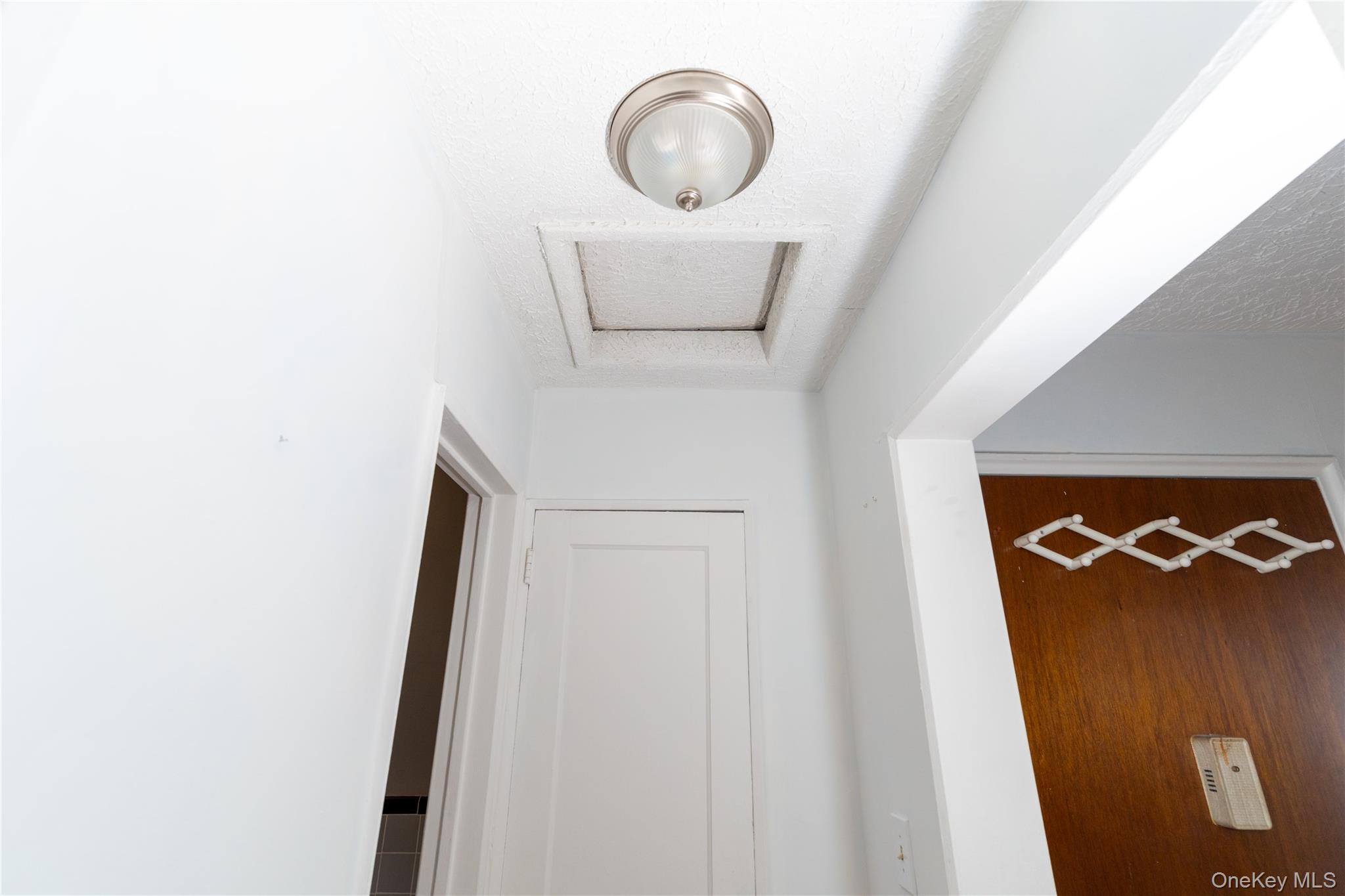61-15 251st Street, Unit 1100 Queens, NY 11362 - Photo 13 of 17 Attic view