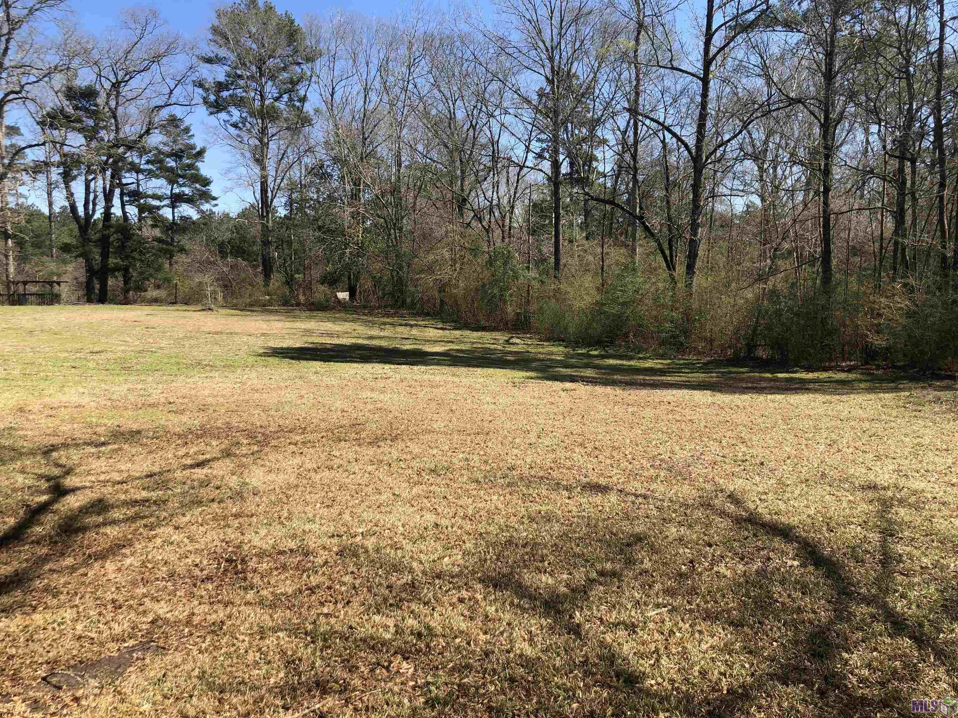 2713 La Highway Clinton, LA 70722 - Photo 6 of 16 Massive Yard