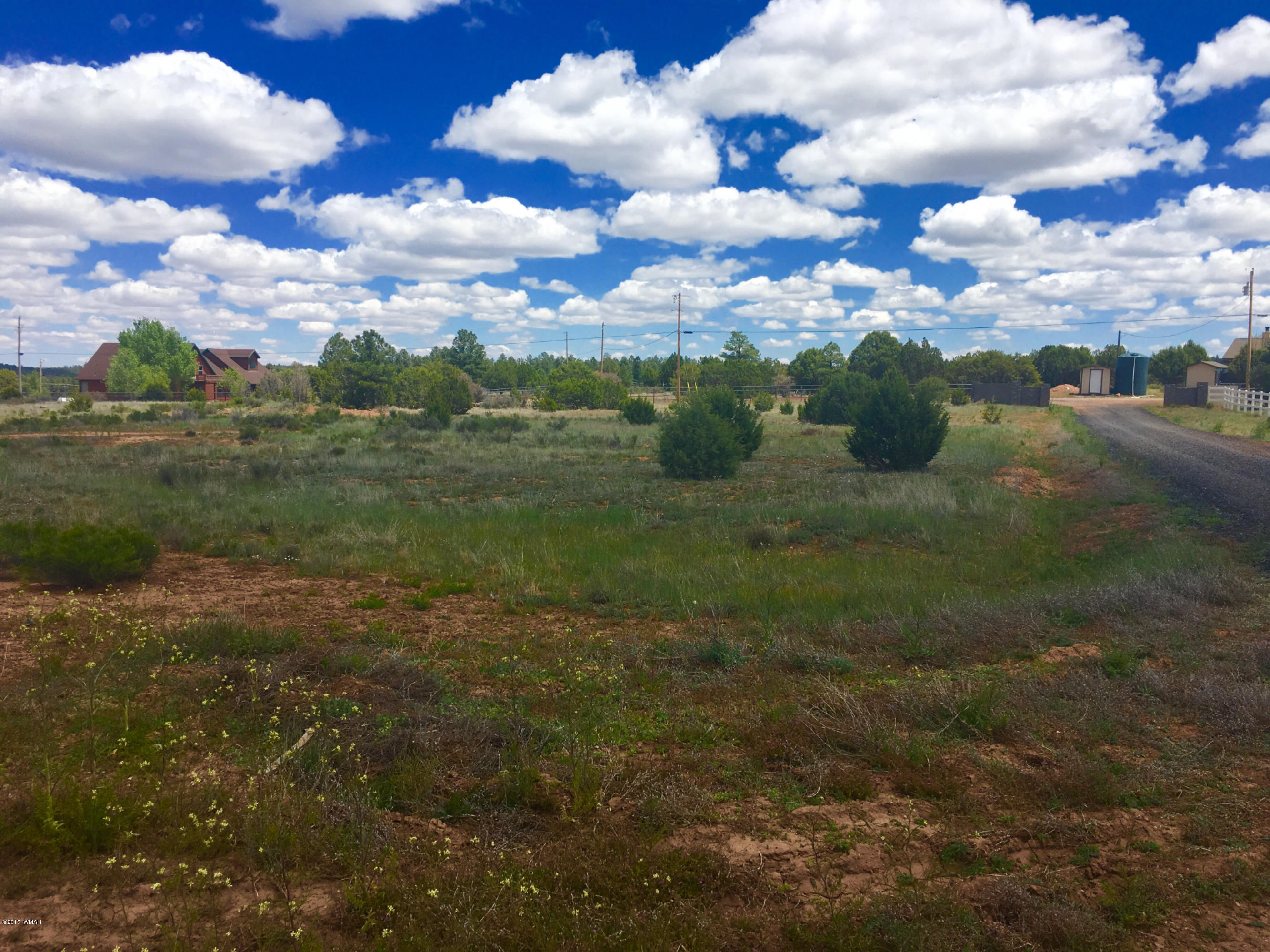 Lot 8 McCormick Ranch Road Show Low, AZ 85901 - Photo 10 of 17