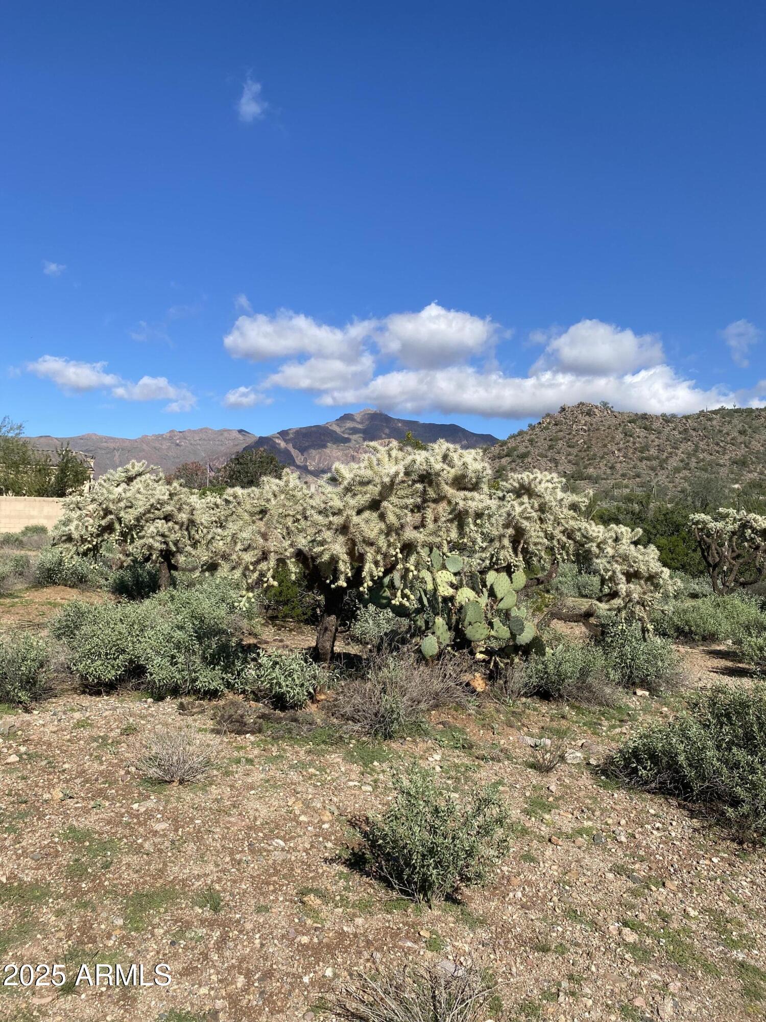 0 East Sunset Peak Road Gold Canyon, AZ 85118 - Photo 10 of 10 IMG_3985