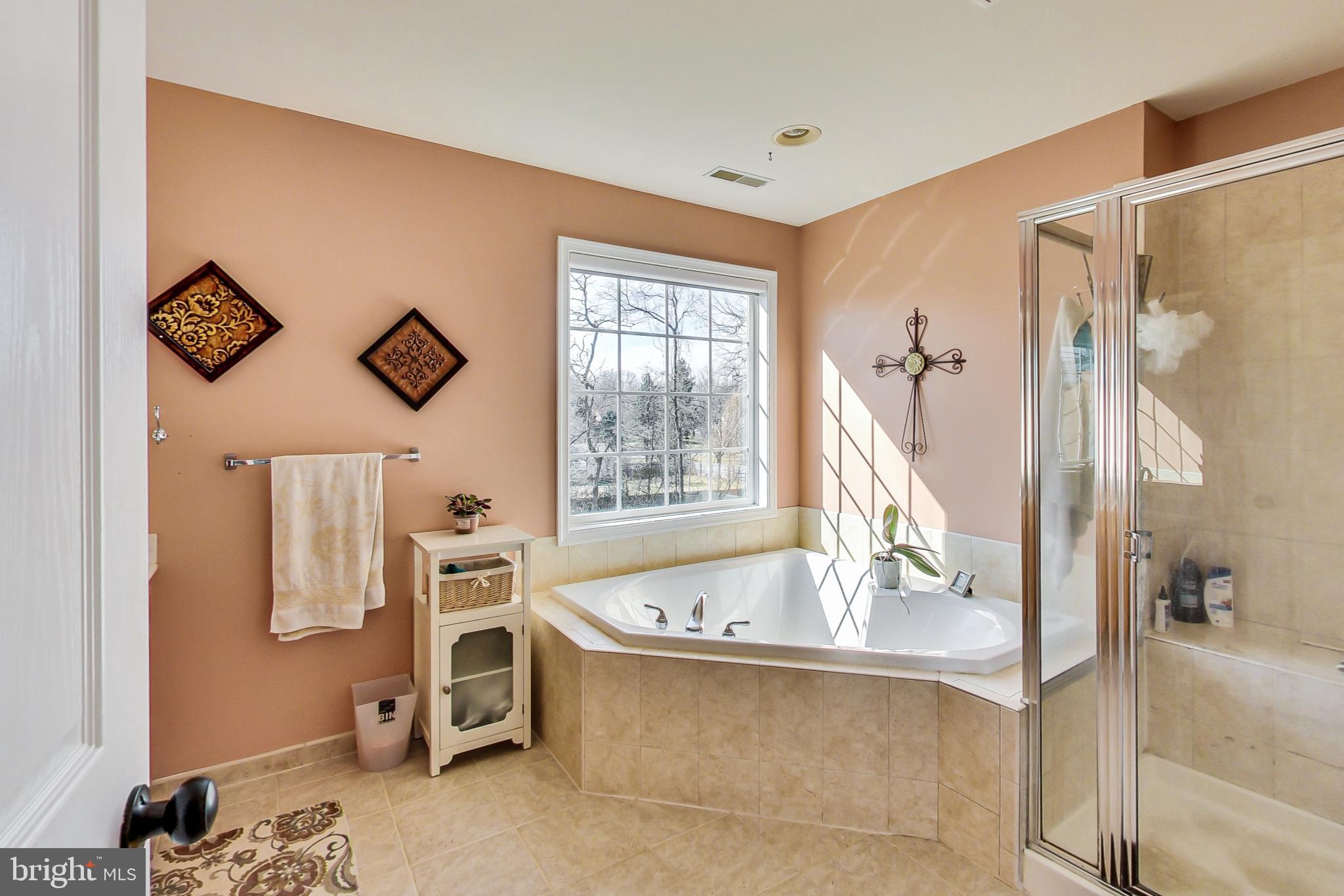 2920 New Rover Road West Friendship, MD 21794 - Photo 34 of 76 Primary bath with sunken tub