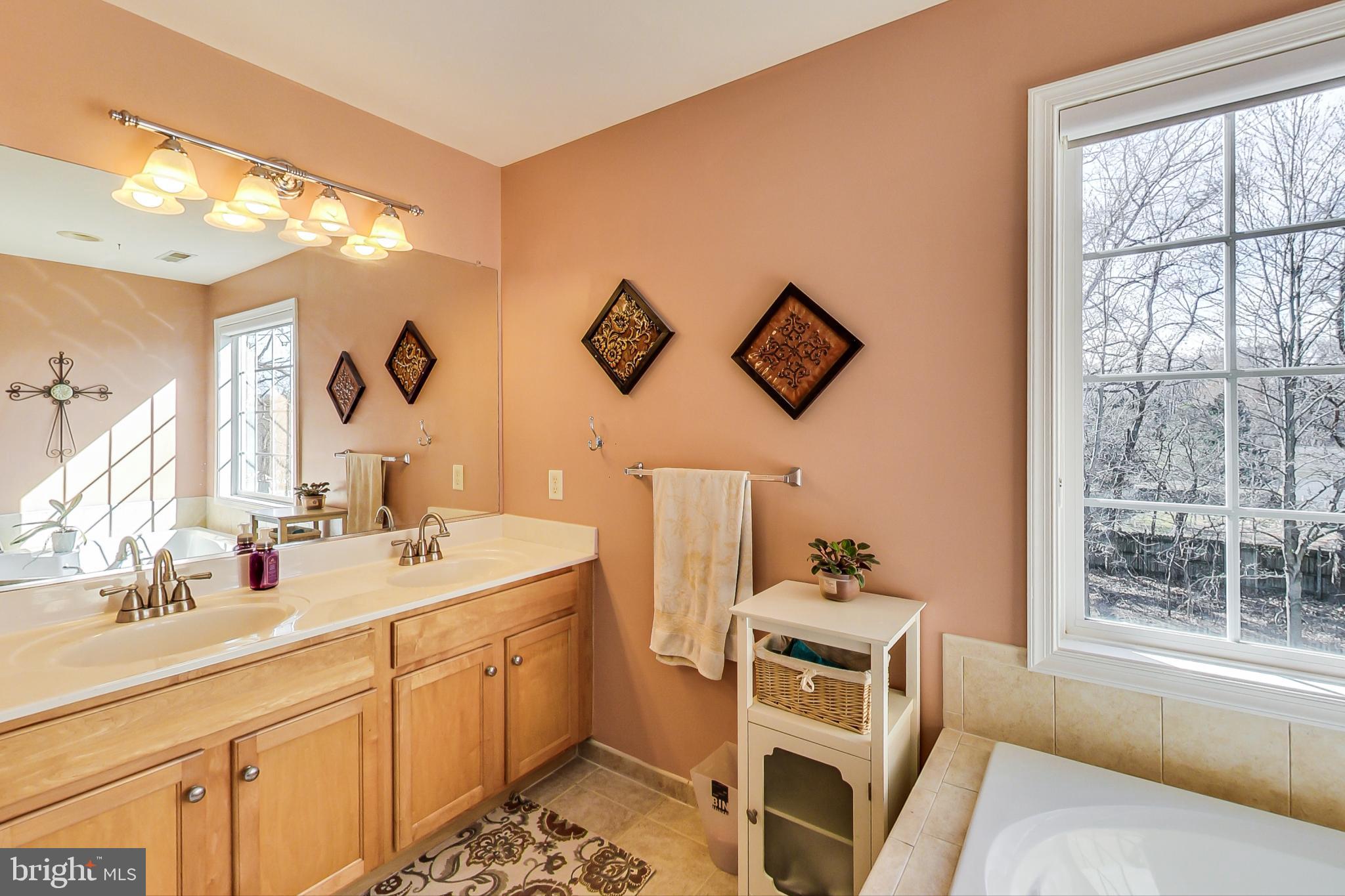 2920 New Rover Road West Friendship, MD 21794 - Photo 35 of 76 Primary bath with double sinks